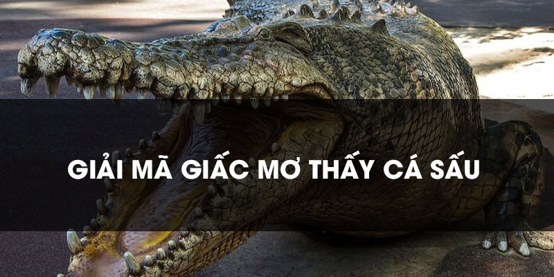 mo-thay-ca-sau-giai-ma