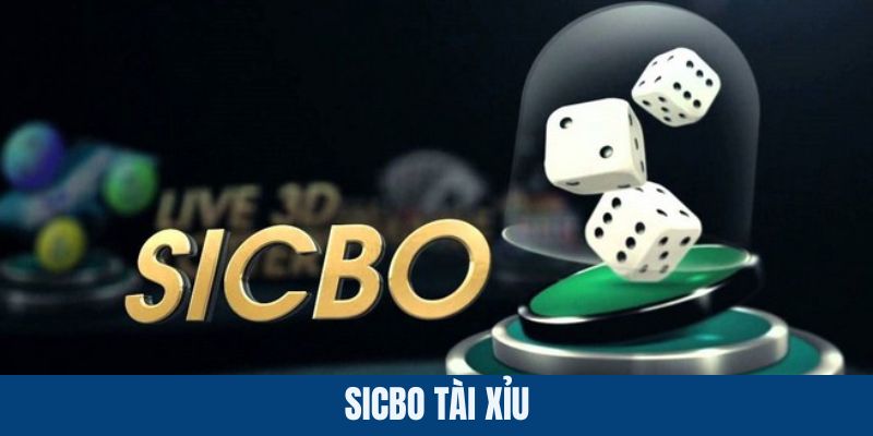 tai-xiu-sicbo-kubet88